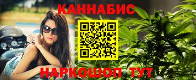 сатива Балаково