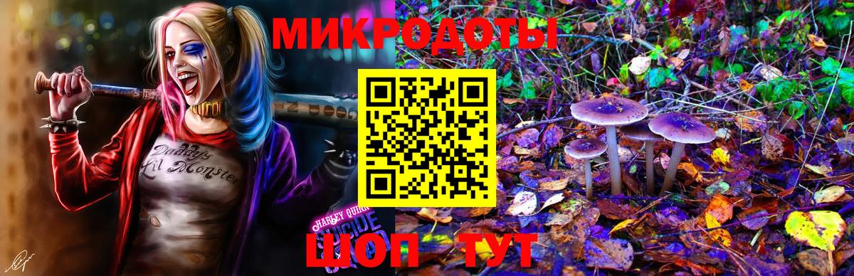 Галлюциногенные грибы GOLDEN TEACHER Дзержинский